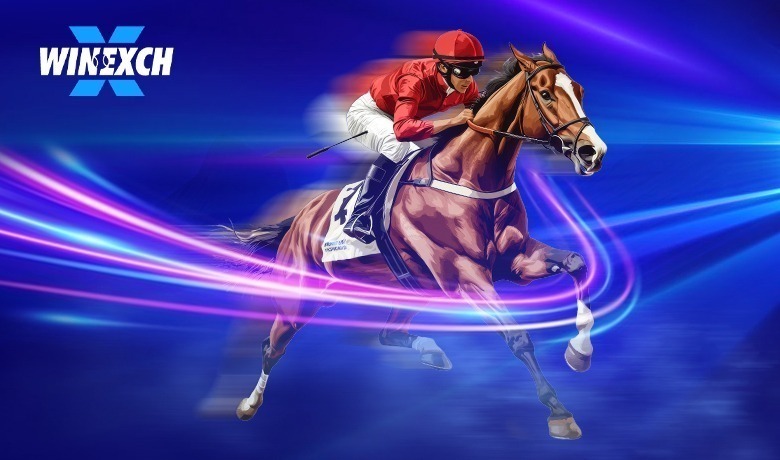 Horse racing winexchange
