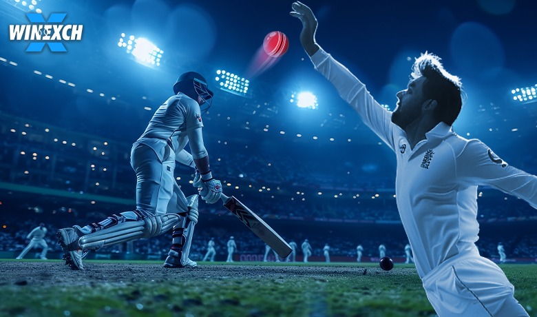 Cricket